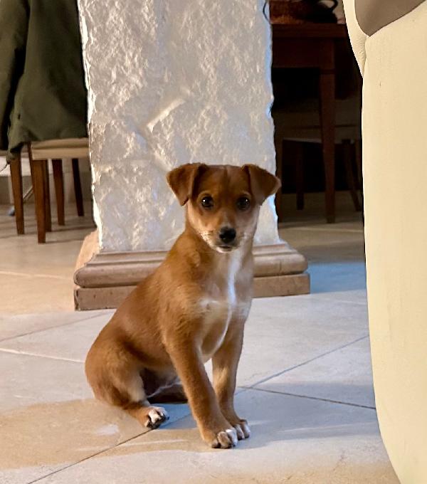 ORNELLA 💗🧸 cerca casa 🏡  Foto 3